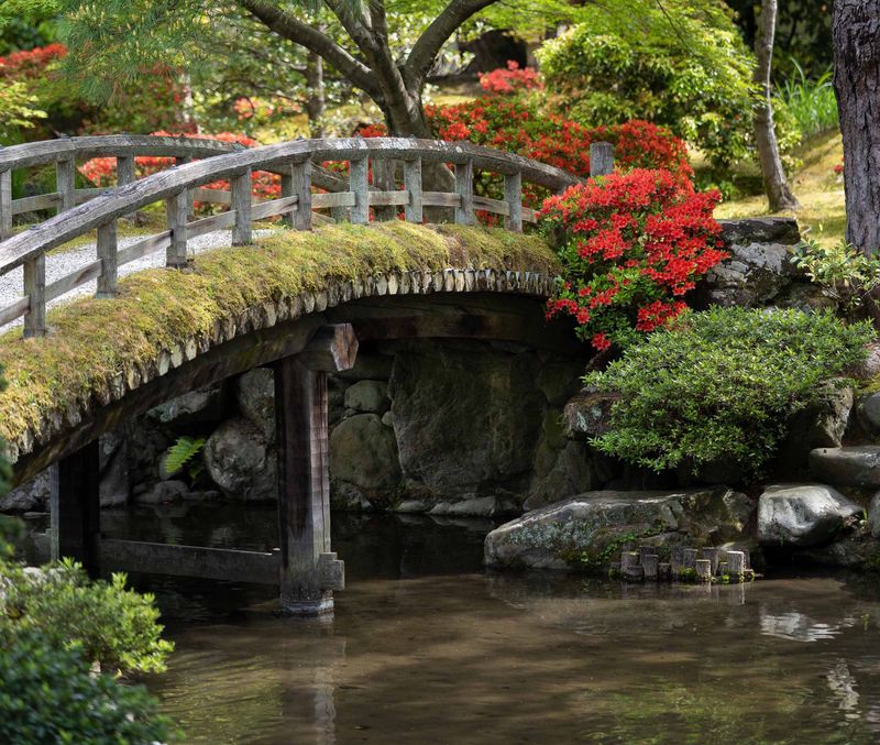 Kyoto Private Tour - Kyoto Imperial palace