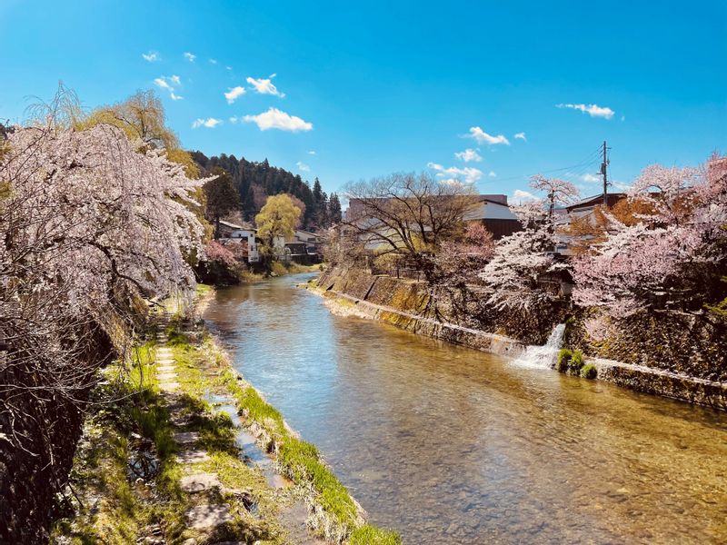 Gifu Private Tour - Takayama Sanmachi Dori