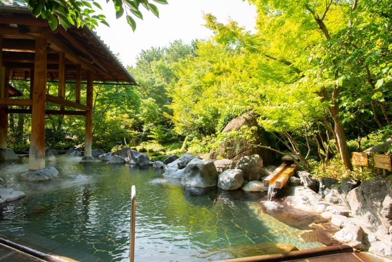 Mie Private Tour - Natural Hot Spring with nature view