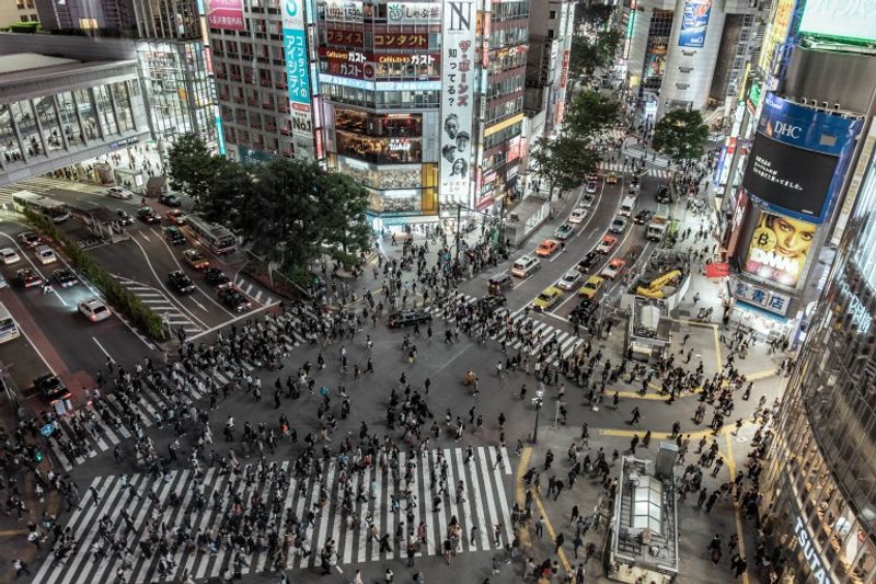 Tokyo Private Tour - Shibuya big Crossing