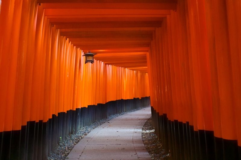 Kyoto Private Tour - Fushimi Inari shrine torri gates