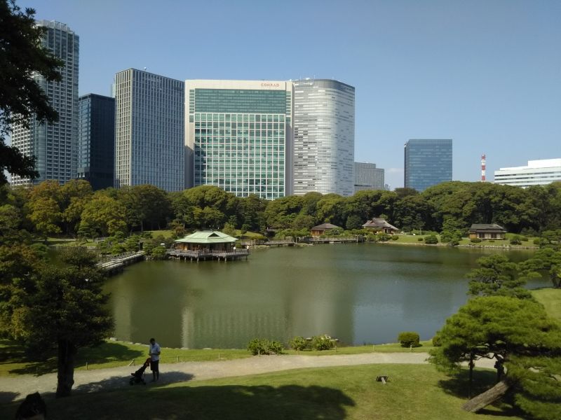 Tokyo Private Tour - Namarikyu Garden, contrast of traditional Japanese garden and modern building