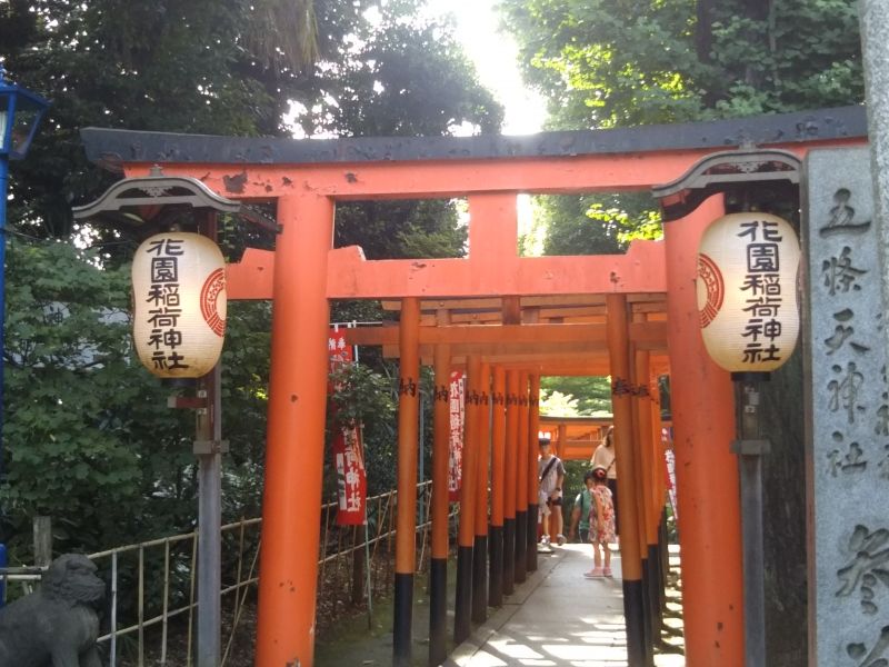 Tokyo Private Tour - Hanazono Inari Shrine in Ueno Park