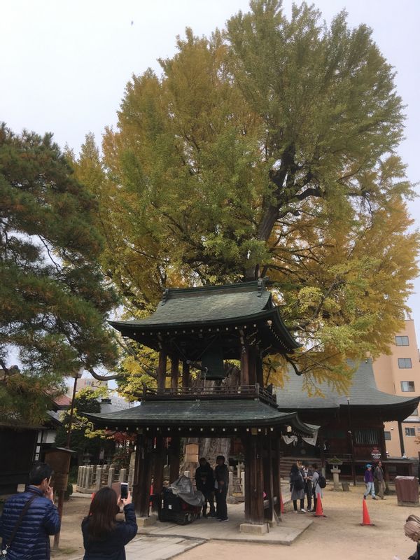 Takayama Private Tour - Ancient temples