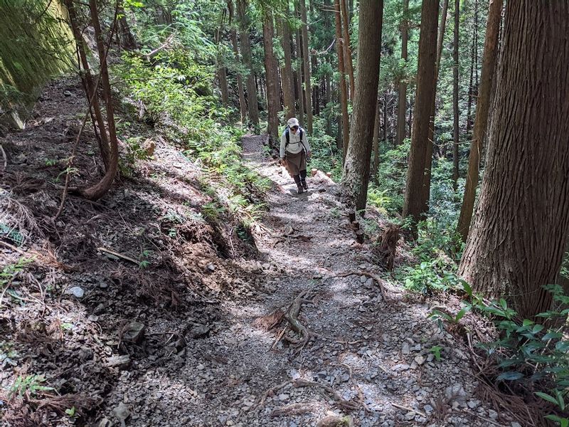 Kumano Private Tour - null