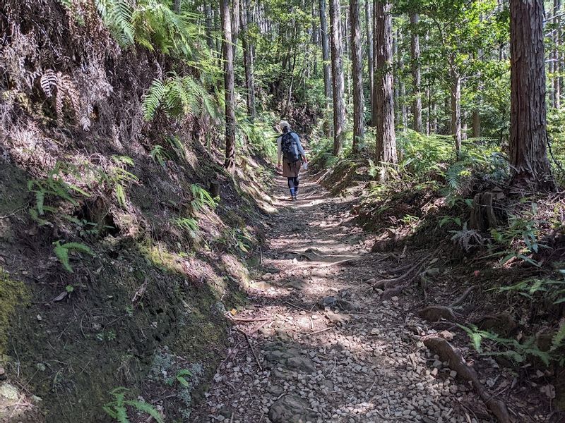 Kumano Private Tour - null