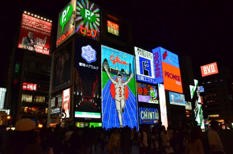 Osaka Private Tour - Photogenic Dotombori in the evening