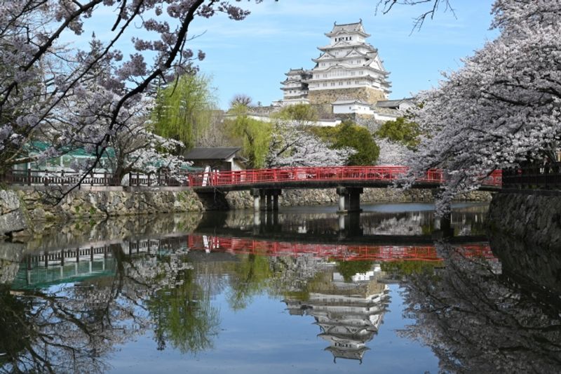 Osaka Private Tour - Wolrd Heritage Himeji Castle