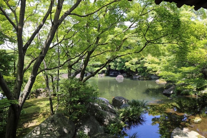 Osaka Private Tour - Kokoen Japanese Garden