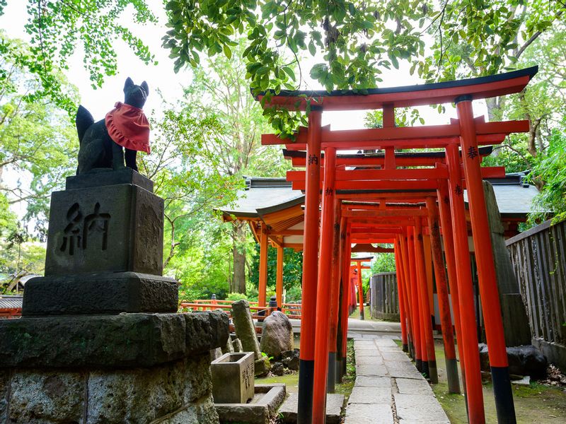 Tokyo Private Tour - (A) Yanaka - Small inari shrine with many red torii gates. 