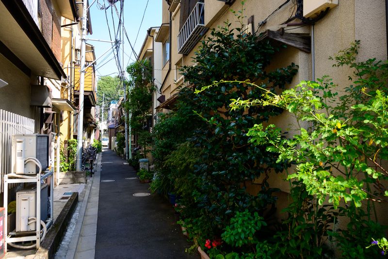 Tokyo Private Tour - (A) Yanaka - charming small alleys to stroll. 