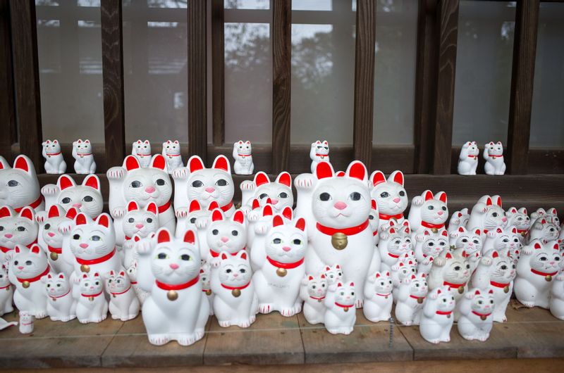 Tokyo Private Tour - (D) Gotoku-ji temple - said to be the origin temple of Maneki-neko (lucky cat) 