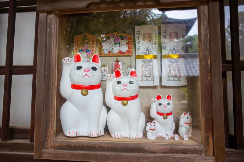 Tokyo Private Tour - (D) Gotoku-ji temple - Cats everywhere!