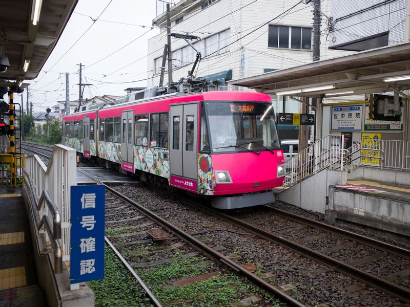 Tokyo Private Tour - (D) Gotoku-ji temple - enjoy local line, but still in Tokyo.