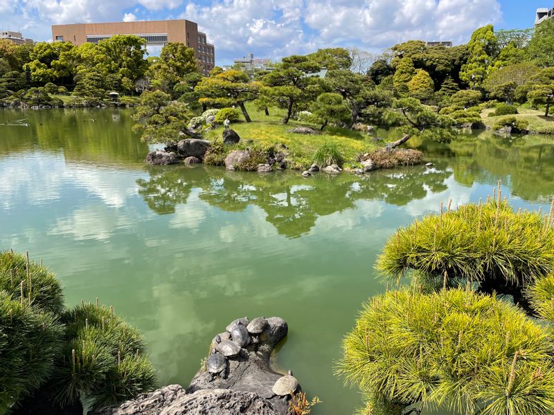 Tokyo Private Tour - (C) Fukagawa - Cosy charming Kiyosumi Gardens I love. 