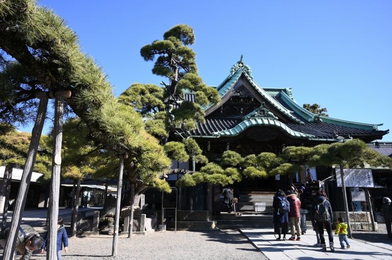 Tokyo Private Tour - (E) Shibamata - Taishakuten temple is impressive with 500 year-old, large black pine tree which looks like a dragon.