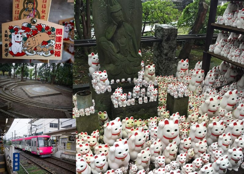 Tokyo Private Tour - (D) Gotoku-ji temple - lots of cat dolls in temple. Nearby shrine has Sumo wrestling ring inside precinct.