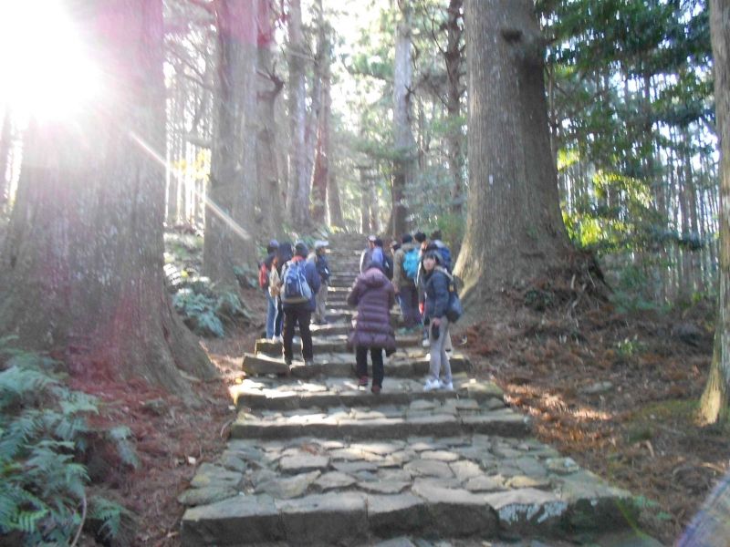 Wakayama Private Tour - Daimon-zaka stone step road