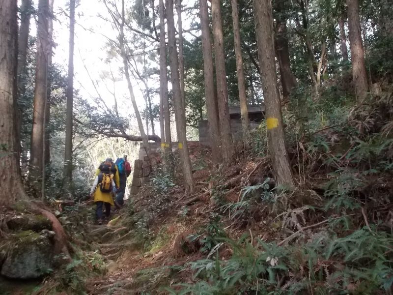 Wakayama Private Tour - .Hojo Masako's memorial( right side). She is called as "nun general" because her braveness. She was the wife of the first feudal Shogunate, Minamoto Yoritomo.