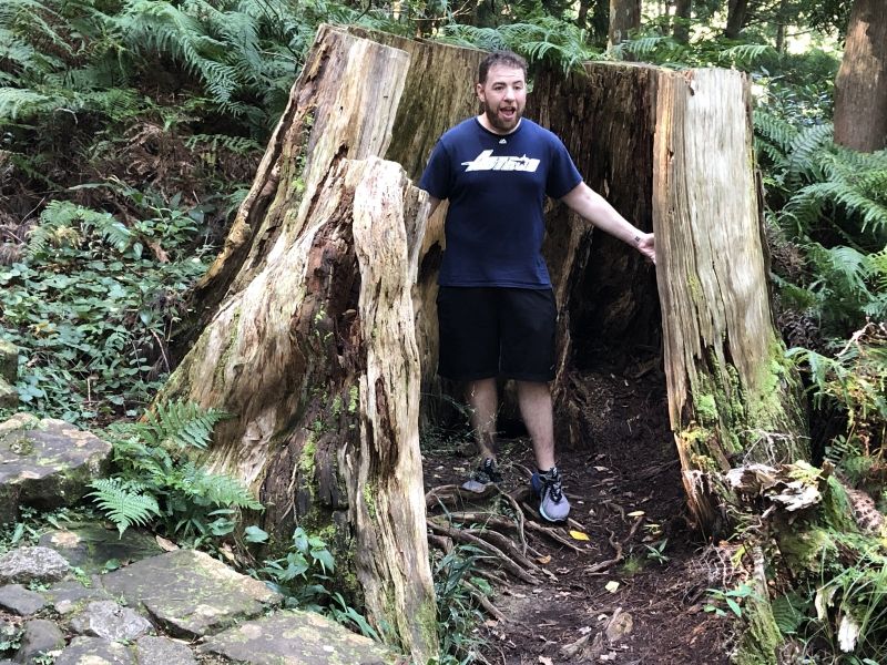 Wakayama Private Tour - A big dead cedar tree beside Daimon-zaka.