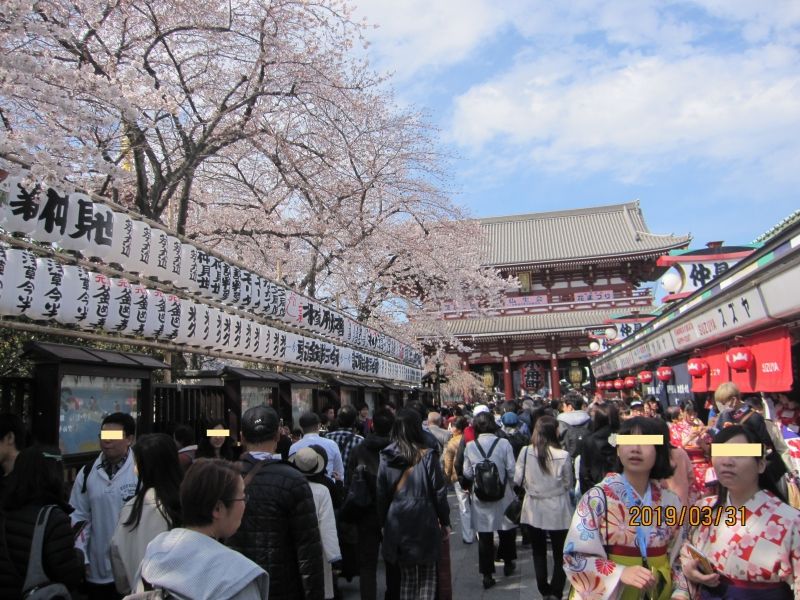 Tokyo Private Tour - Cherry blossoms and Nakamise souvenir shops at Sensoji temple.