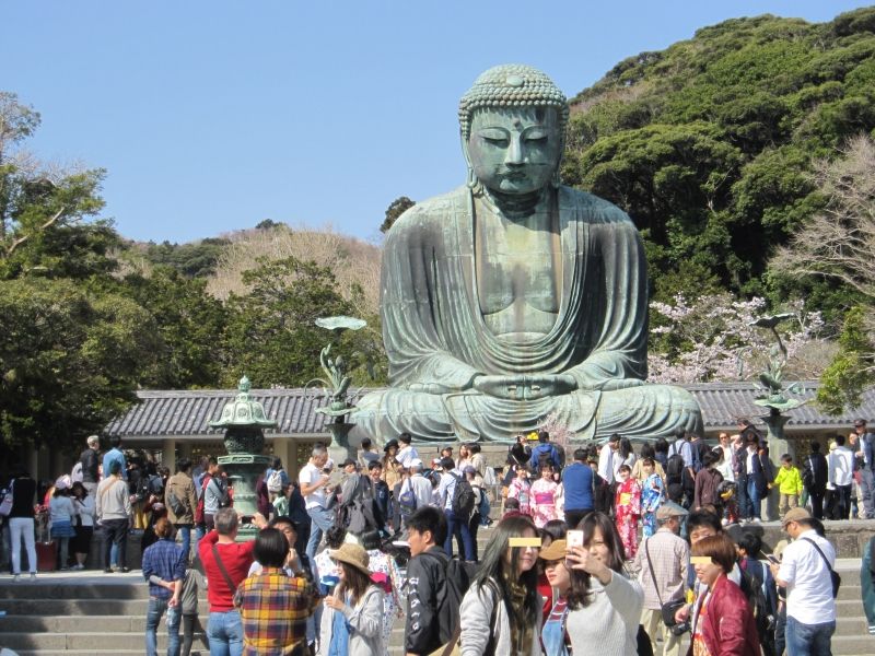 Kamakura Private Tour - Great Buddha and cherry blossoms