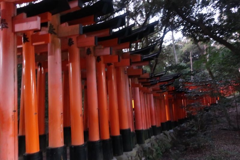 Kyoto Private Tour - Fushimi-Inari Shrine which is famous for many orange gates like a tunnel