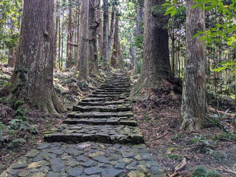 Kumano Private Tour - null