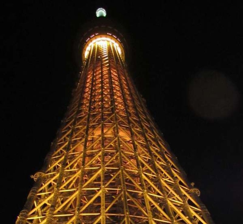 Aichi Private Tour - Tokyo Sky tree