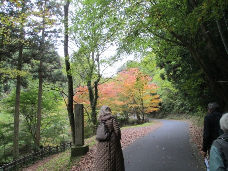 Shimane Private Tour - You can enjoy either walking or cycling to the entrance of the mine shaft.
Every season has natural beauty.