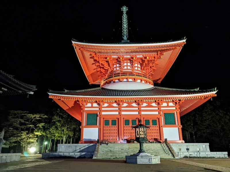 Mount Koya Private Tour - null