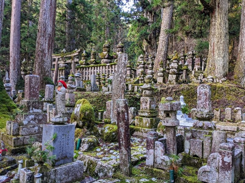 Mount Koya Private Tour - null