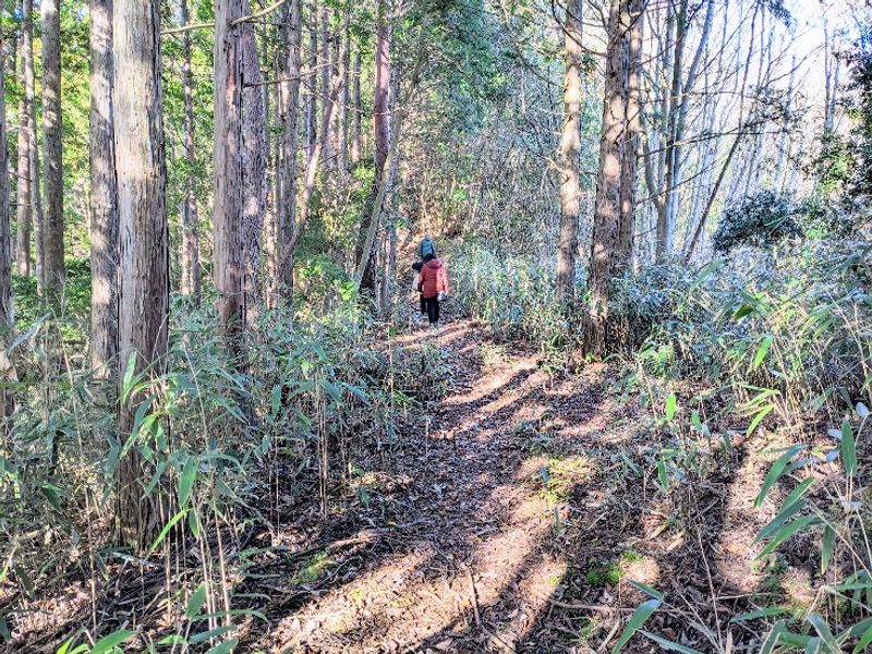 Mount Koya Private Tour - null