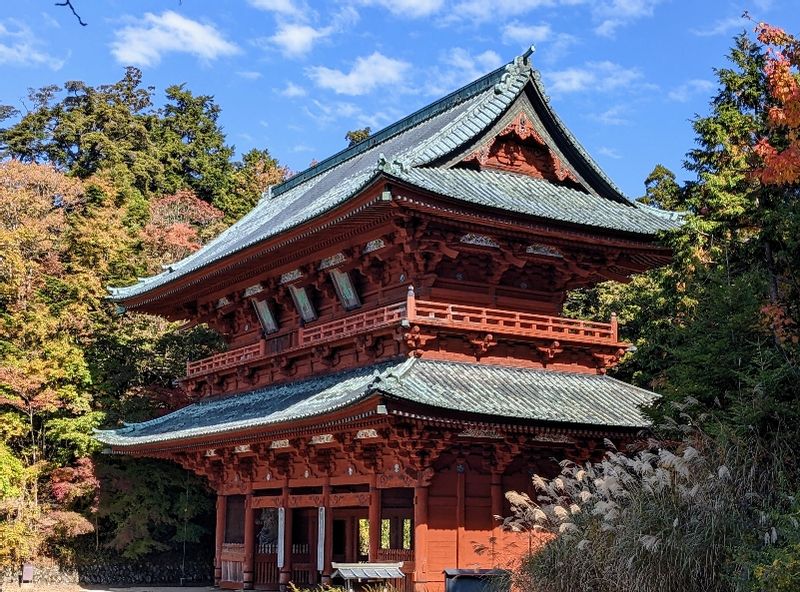 Mount Koya Private Tour - null