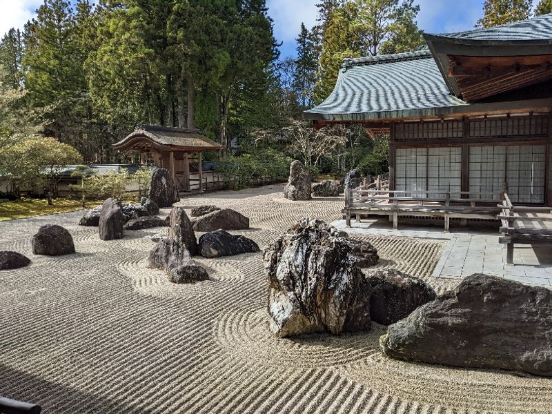 Mount Koya Private Tour - null