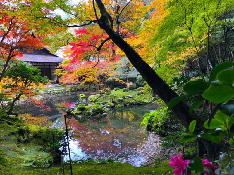 Kyoto Private Tour - Tenju-an