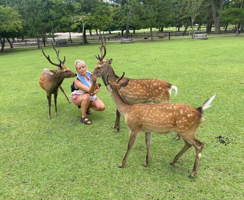 Nara Private Tour - 