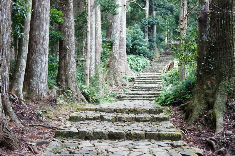 Kumano Private Tour - Kumano kodo Pilgrimage Route Daimon-zaka