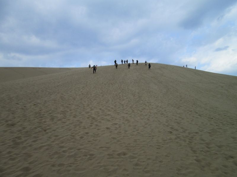 Tottori Private Tour - Tottori Sand Dune