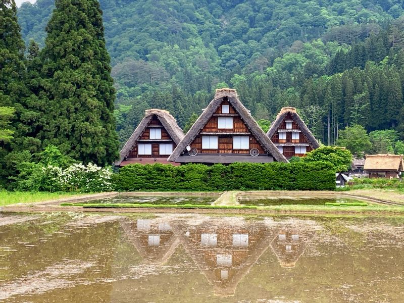 Shirakawago Private Tour - null