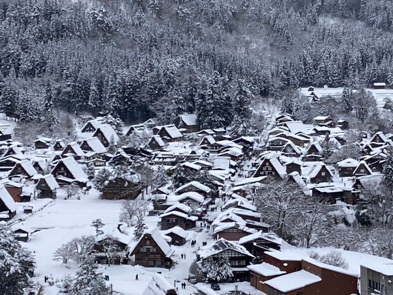 Shirakawago Private Tour - null