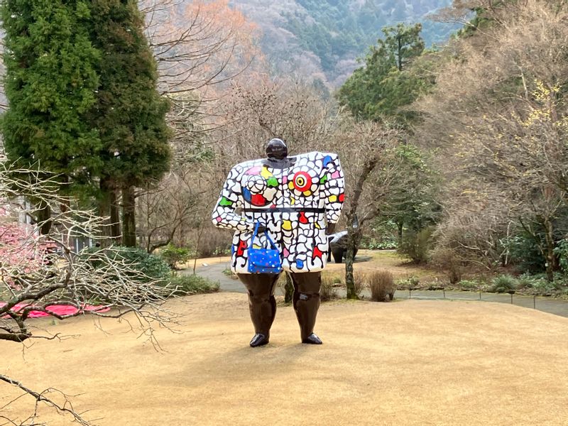 Hakone Private Tour - Hakone Open Air Museum (entrance fee JY1600). Let’s enjoy many art works , Picasso etc. !