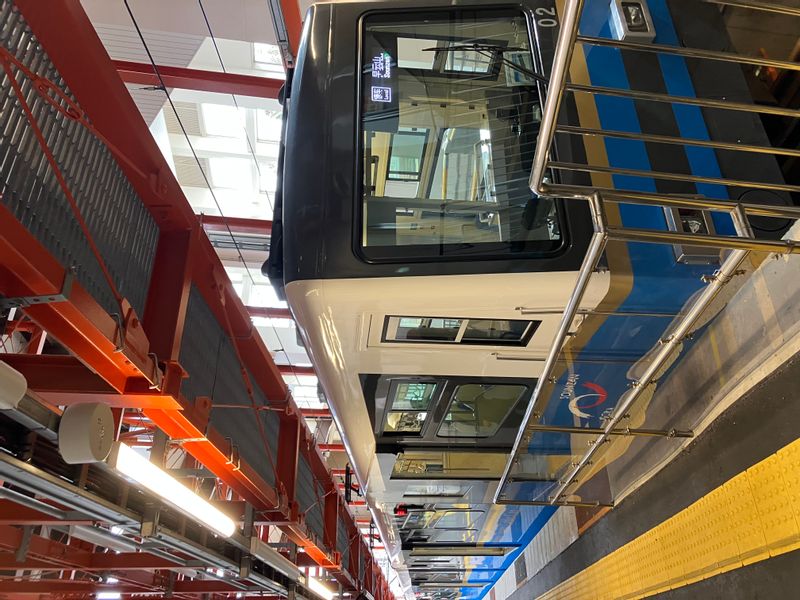 Hakone Private Tour - Cable car to climbing up by 200m high(500m in altitude)