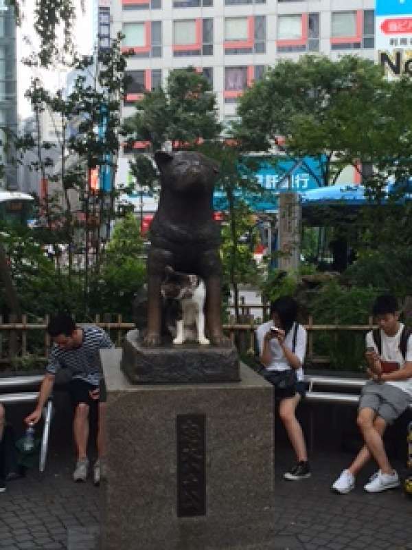 Tokyo Private Tour - Shibuya the Loyal dog Hachi.