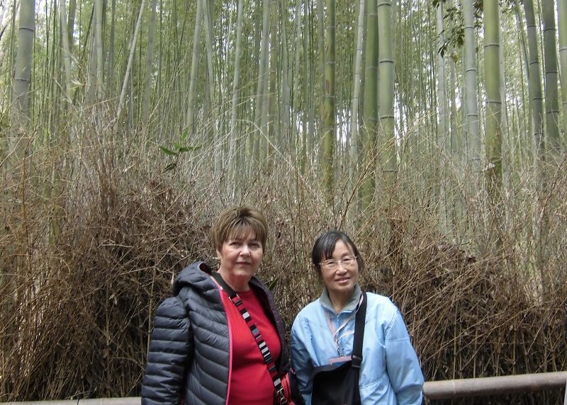 Kyoto Private Tour - Sagano Bamboo Forest