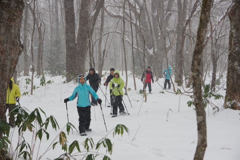 Nagano Private Tour - Snowshoeing in the forest of  Myoko-Togakushi renzan National Park