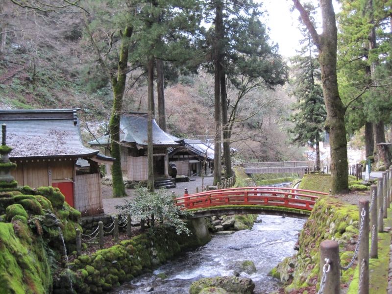 Fukui Private Tour - A stream floating beside Eiheiji