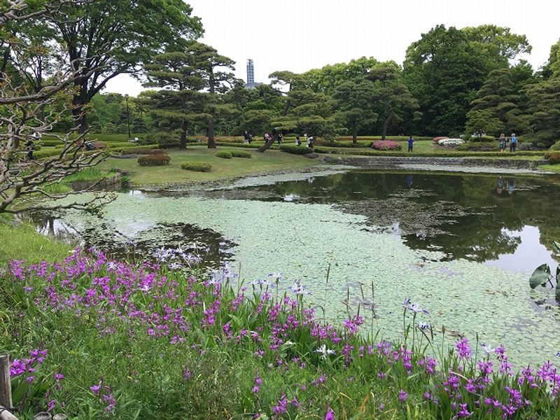 Tokyo Private Tour - Imperial Palace (East Gardens)