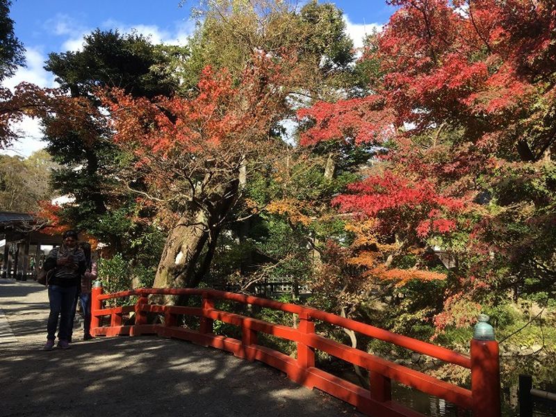 Tokyo Private Tour - Autumn Leaves