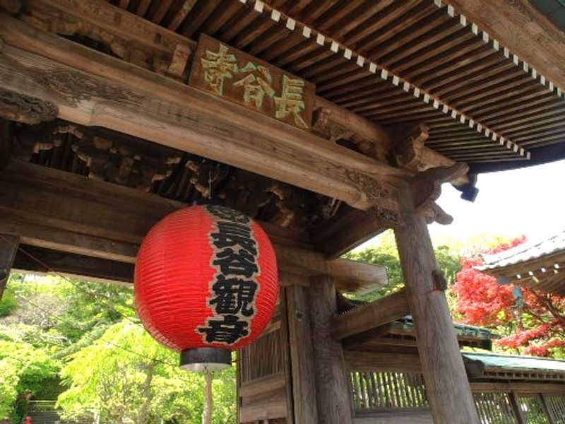 Tokyo Private Tour - Hasedera Temple